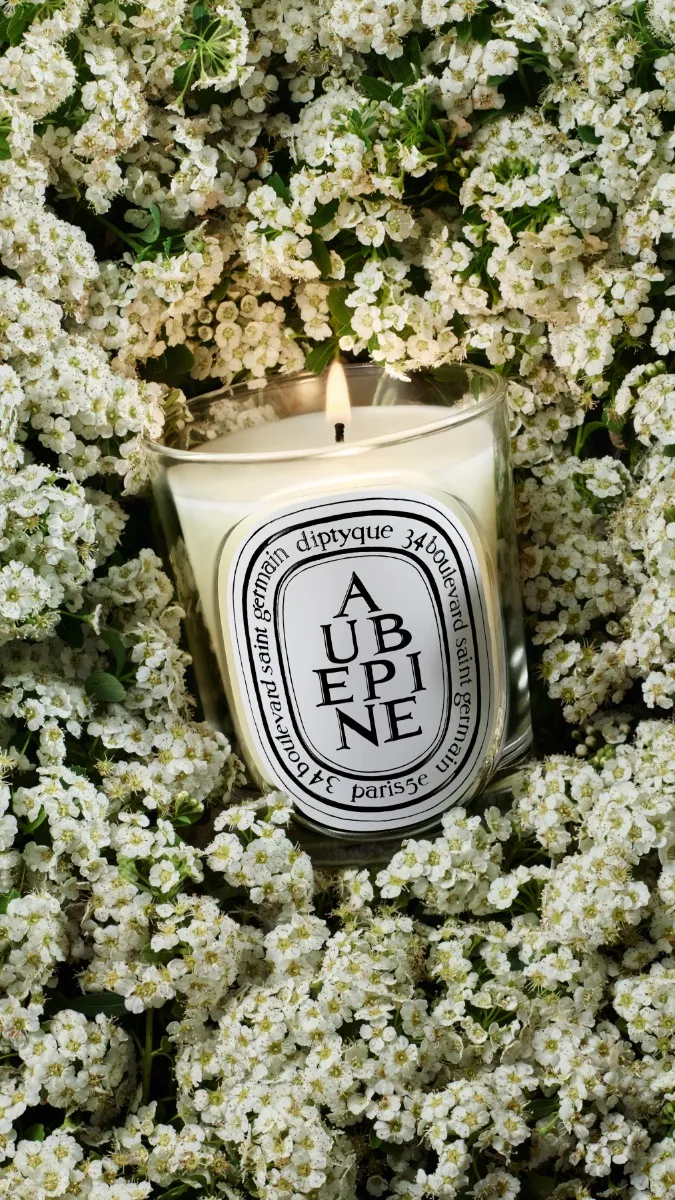 Aubépine (Hawthorn) - Classic Candle - Image 3