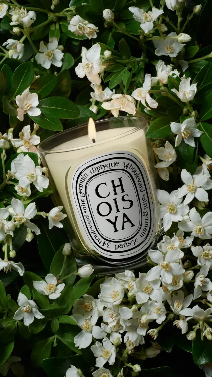Choisya (Orange Blossom) - Classic Candle - Image 3