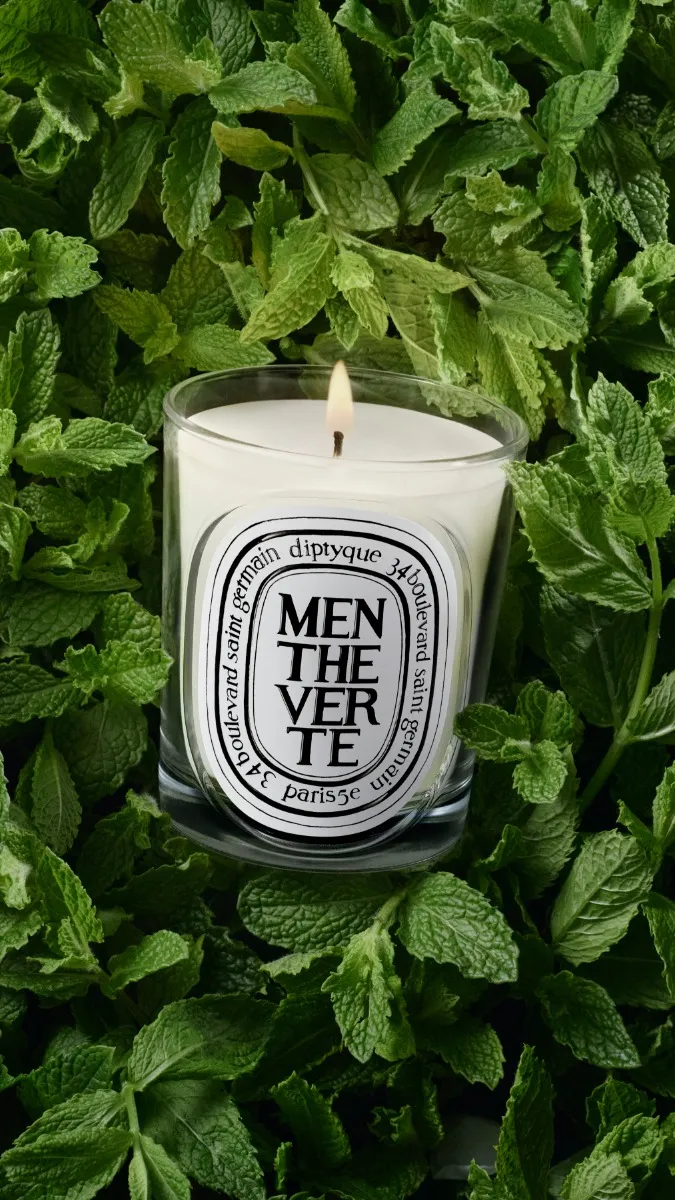 Menthe Verte (Spearmint) - Classic Candle - Image 3