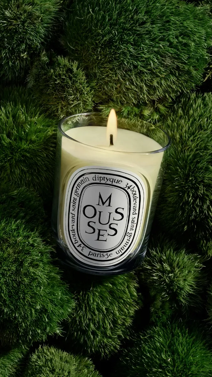 Mousses (Moss) - Classic Candle - Image 3