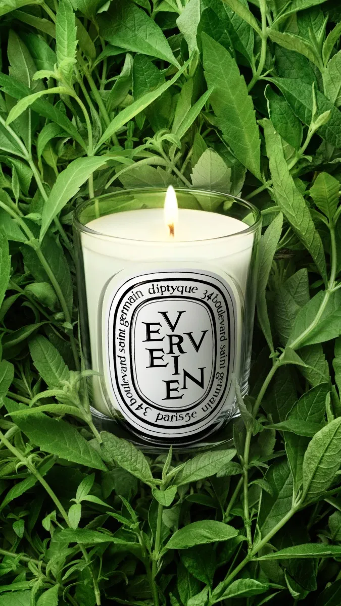 Verveine (Lemon Verbena Scented) - Classic Candle - Image 3