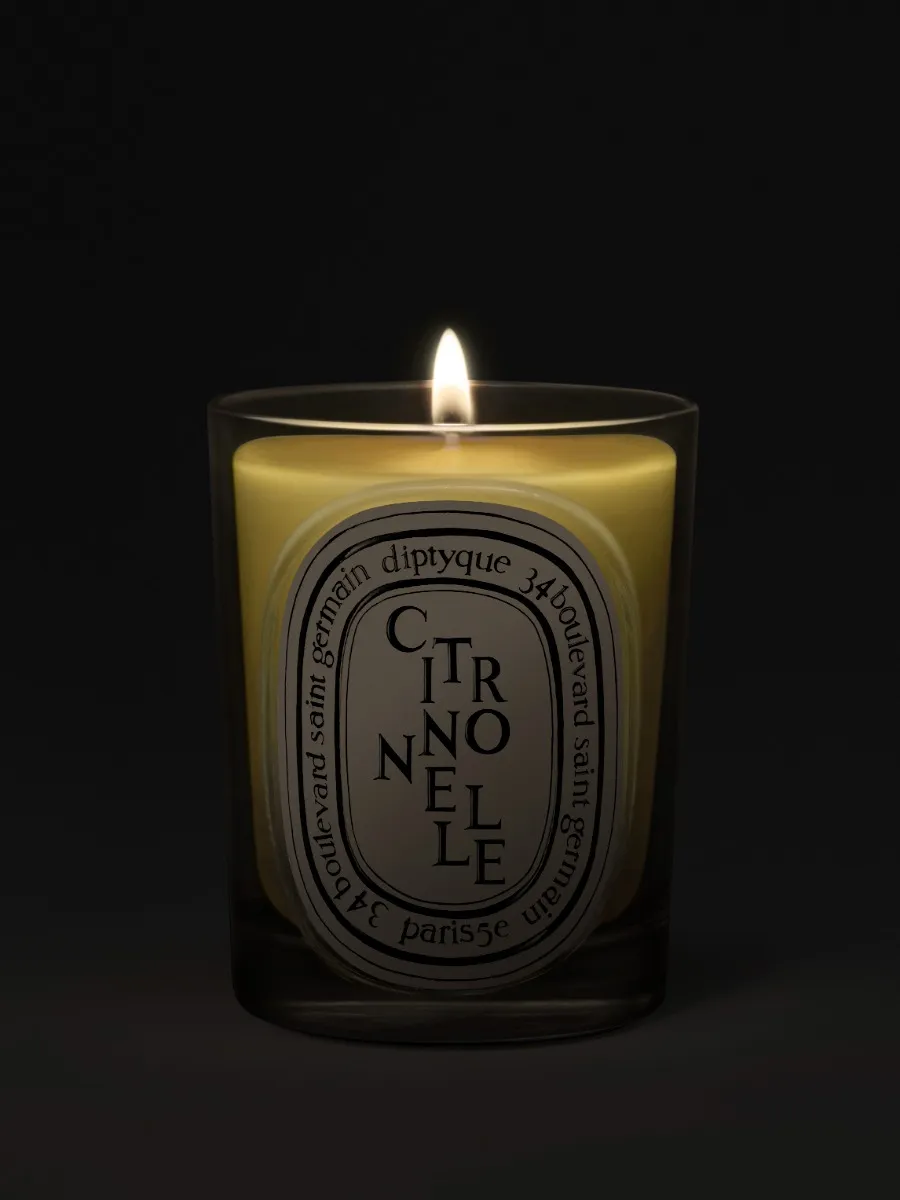 Citronnelle (Lemongrass) - Classic Candle - Image 2