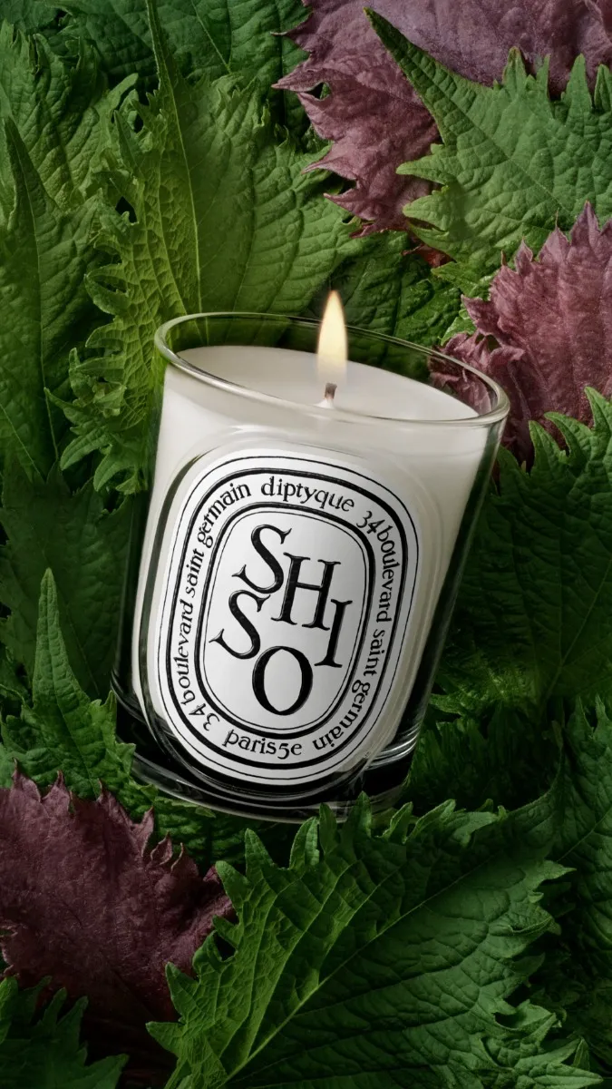 Shiso - Classic Candle - Image 3