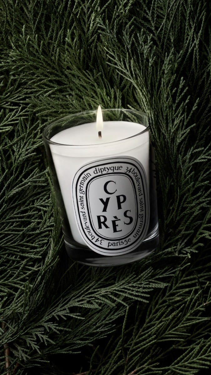 Cyprès (Cypress) - Small Candle - Image 3