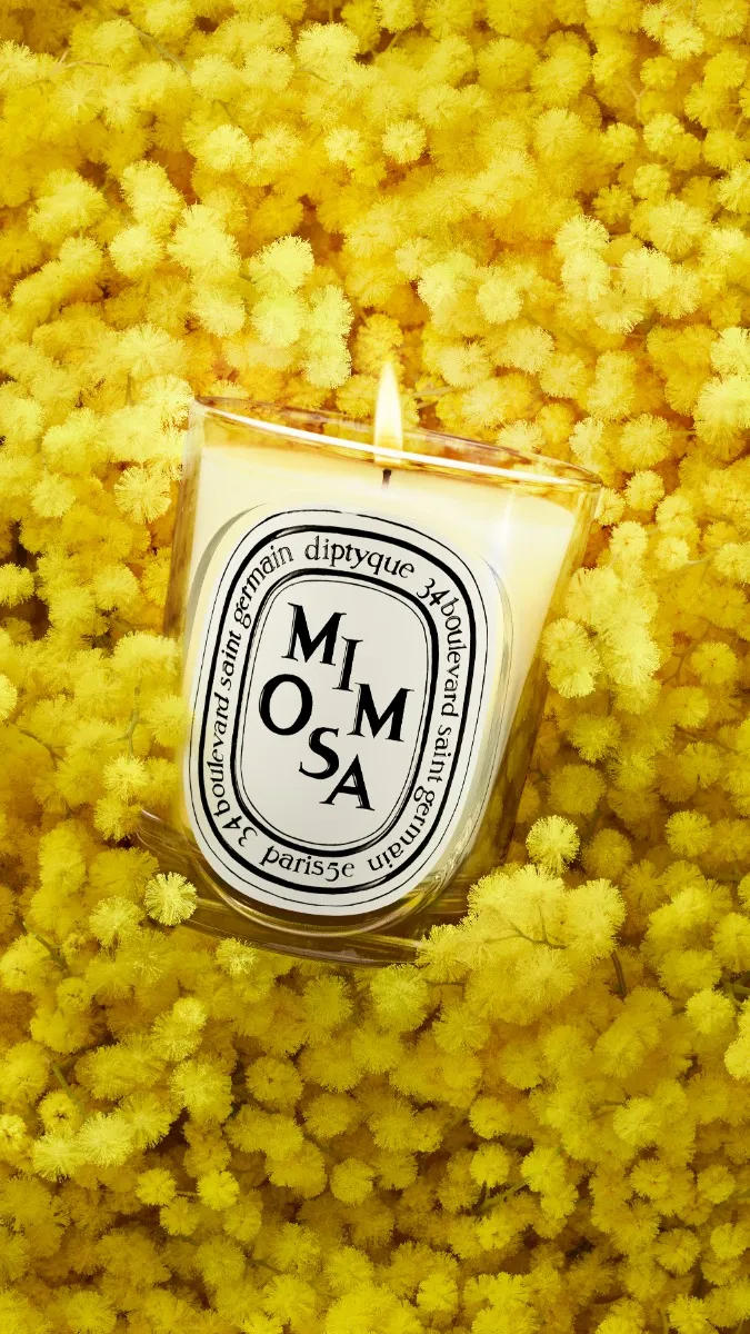 Mimosa - Classic Candle - Image 3