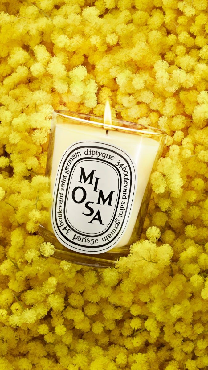 Mimosa - Small Candle - Image 3